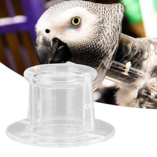 Fdit Collar de Cuello de Loro Conos de recuperación de Aves Escudo Protector de Plumas de Aves para pájaros(M)