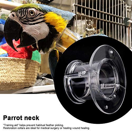 Fdit Collar de Cuello de Loro Conos de recuperación de Aves Escudo Protector de Plumas de Aves para pájaros(M)