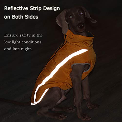 FEimaX Abrigo para Perros de Invierno Chaqueta Impermeable Ropa a Prueba de Viento con Forro Polar y Orificio para Arnés, Chaleco Cálido Duradero para Perro Pequeños Medianos Grandes y Mascotas