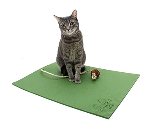 Feline Yogi Alfombrilla de gato con Catnip Cat Toy. Cat Scratching Post, cama, Actividad Alfombra de juegos (Verde)
