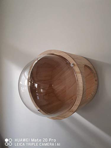 Felivecal - Cápsula espacial para gatos, diseño de gatos, madera, nido de gato, casa de gato transparente, muebles para gatos, muro de escalada para gatos, gatos, gatos, etc.