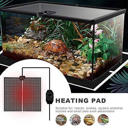 FEMONGY Manta Termica Reptiles, Manta Termica Terrario, Alfombrillas Térmicas para Reptiles, con Regulador de Temperatura, (0-35 Grados), para Arañas, Tortugas, Lagartos (28 x 28cm, 220 V-240V, 14W)