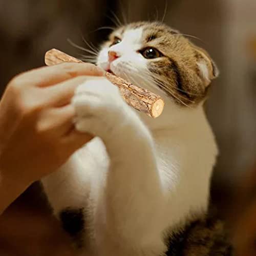 Fenteer 5 Piezas de Pasta de Natural Catnip Stick Actinidia Polygama Treat Molar Safety Snack Branch para Masticar, Rechinar Los, Gatito, Jugu