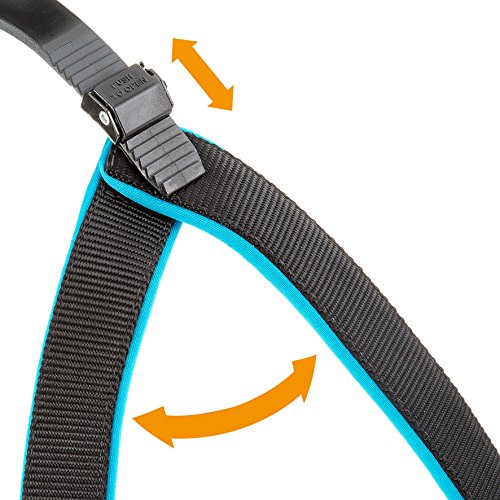 Ferplast 75449625 ARNES AGILA Fluo 6, Azul, Talla Única