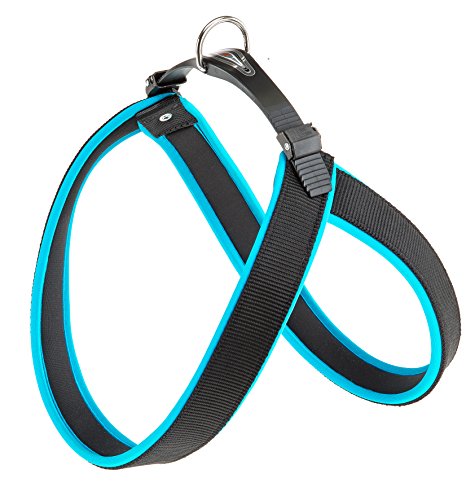Ferplast 75449625 ARNES AGILA Fluo 6, Azul, Talla Única
