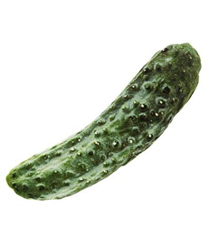 Ferribiella Pepino Matatabi - Juego para gato, 14 x 7,5 cm