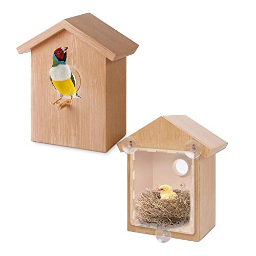 Feufeu Ventana para pájaros, casa con 3 Fuertes ventosas, Transparentes, de Madera, para pájaros, para una fácil observación, plástico Transparente, nidos de pájaros, Pintura DIY, Madera 8.4 Pulgada