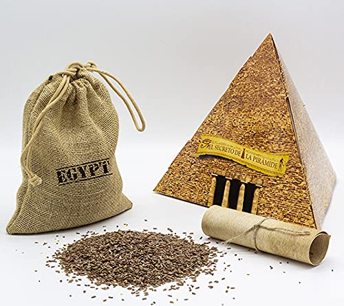 FINCA CASAREJO Semillas de Lino - Granos de linaza para alimentación Animal - Presentado en saquito de Yute y pirámide egipcia - El súper alimento de los egipcios - Disponible en 0,5 kg y 2 kg (2 kg)
