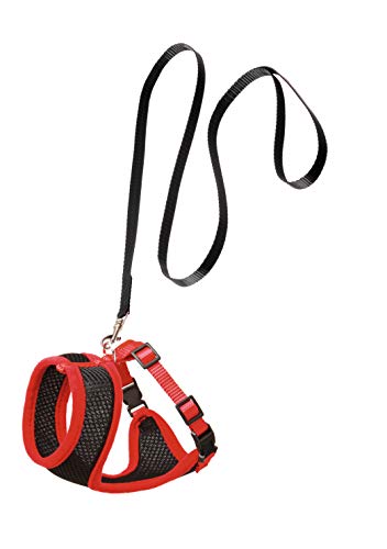 Flamingo 1031367 Conjunto de Arnés y Correa Negro para Gato, L