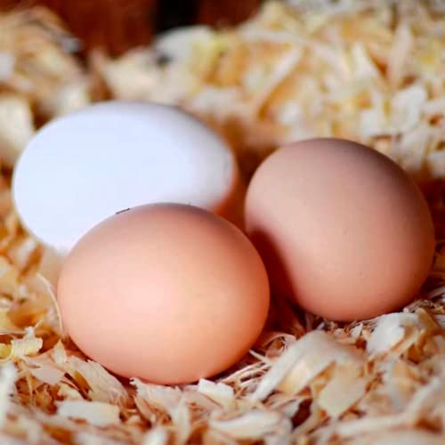 FlashPrix Viruta de Madera de Pino para Mascotas, Aves, Gallinas y Boxes de Caballos, 16 Kg