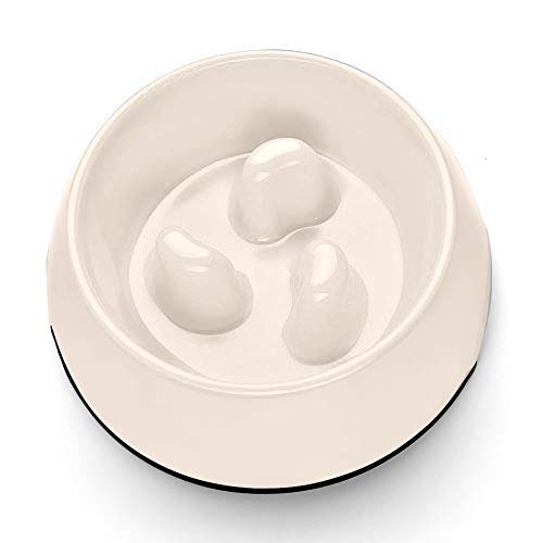 Flexzion Lenta Dientes de Arrastre Bowl - Antideslizante Antideslizante Base Animal del Animal doméstico del Perrito del alimentador de Agua Titular de contenedores de Almacenamiento Plato Anti-Traga