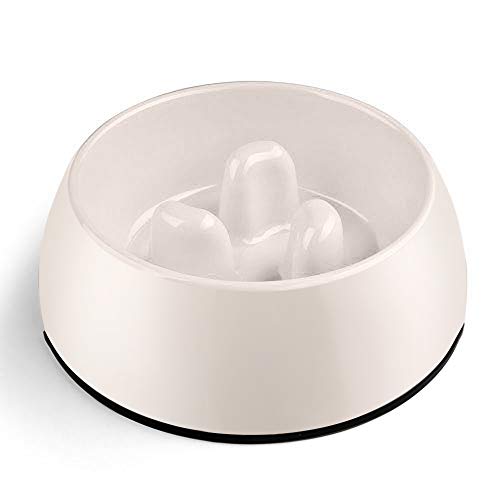 Flexzion Lenta Dientes de Arrastre Bowl - Antideslizante Antideslizante Base Animal del Animal doméstico del Perrito del alimentador de Agua Titular de contenedores de Almacenamiento Plato Anti-Traga