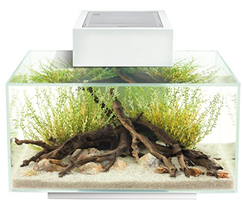 Fluval Acuarios 1 Unidad 250 g