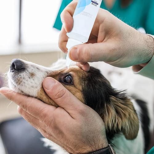 FOLOSAFENAR Removedor de Manchas de Ojos de Perro eficaz 60ml Seguro para Mascotas