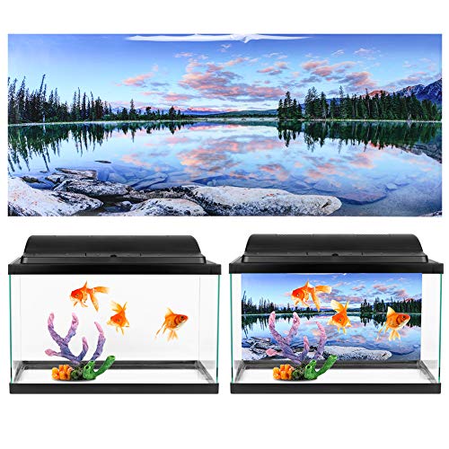 Fondo de acuario Imágenes de decoraciones de peceras, Papel de fondos de peces, Espejo azul cielo y patrón de nubes blancas, Cartel adhesivo de PVC con efecto 3D, Fondo colorido(122x50cm)
