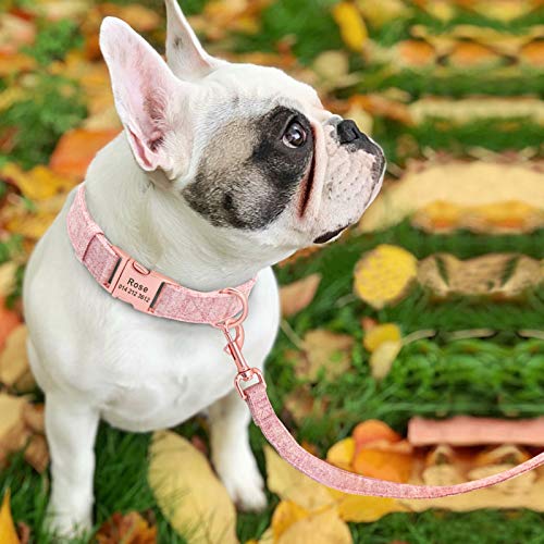 Forestpaw Collares de perro pequeños para niñas, collares de perro personalizados y personalizados para perros medianos, collares de perro y correa para perros grandes, color rosa, M