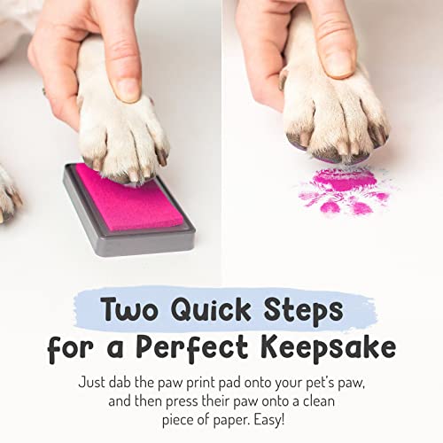 Forever Fun Times Kit de impresión de Patas de Mascota de fácil Limpieza | Consiga Cientos de Impresiones con un Solo Kit de impresión de Patas de bajo Coste | Almohadilla de impresión de Patas