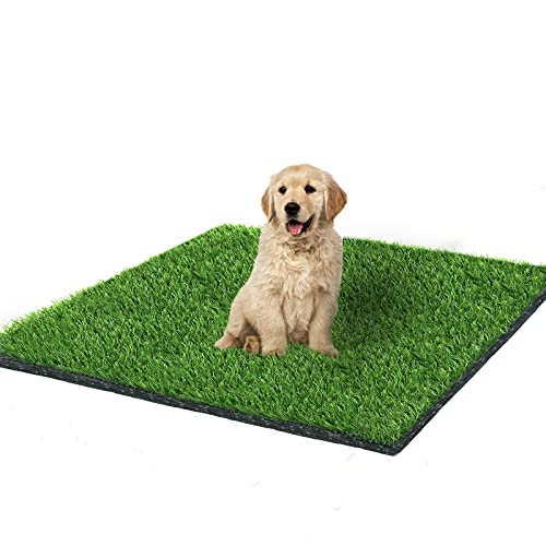 Fortune-star - Felpudo de Hierba Artificial para Perros y césped, para Interiores y Exteriores, con Agujeros de Drenaje, para decoración de Patios y césped