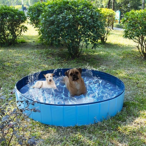 Founten Piscina para Perros - 120 x 30 cm Piscina para Perros Plegable Piscina Antideslizante para Perros y Gatos, Piscina para Perros Adecuada para Interiores y Exteriores