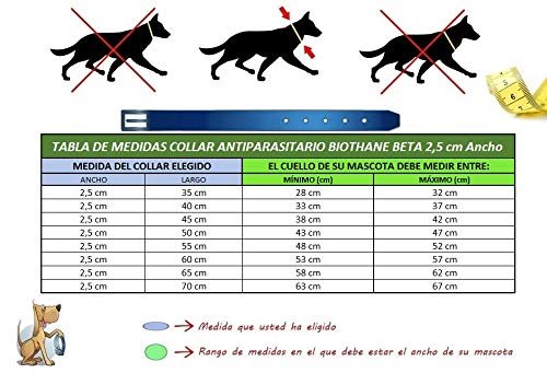 Francisco Romero 8436586341220 - Collar con Funda Antiparasitaria, Rojo, 2,5cmx45cm, 1 unidad