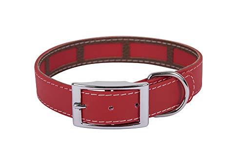 Francisco Romero 8436586341220 - Collar con Funda Antiparasitaria, Rojo, 2,5cmx45cm, 1 unidad