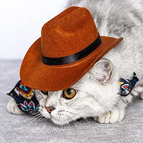 Froiny 1 Unid Hombre Petría Divertido para Dog Cat Cat Westernow Cowboy Hat Photo Proporte Cap Perro Universal para Poste Calle Halloween Accesorios Pet Mascotas