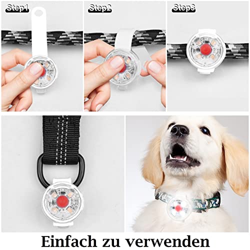 Fttouuy Luz intermitente LED de seguridad para perros y gatos, LED colgante USB recargable para perro, 3 modos intermitentes, luces de seguridad impermeables para mascotas