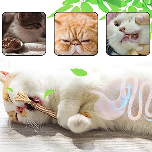 FUFRE Palitos de menta para gatos, juguete para gatos, 14 cm, para el cuidado dental y contra el mal aliento