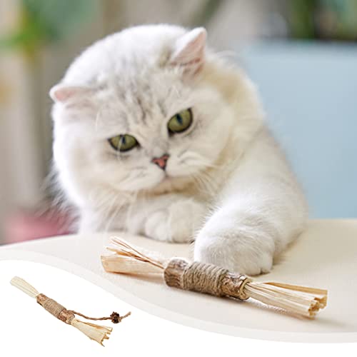 FUFRE Palitos de menta para gatos, juguete para gatos, 14 cm, para el cuidado dental y contra el mal aliento