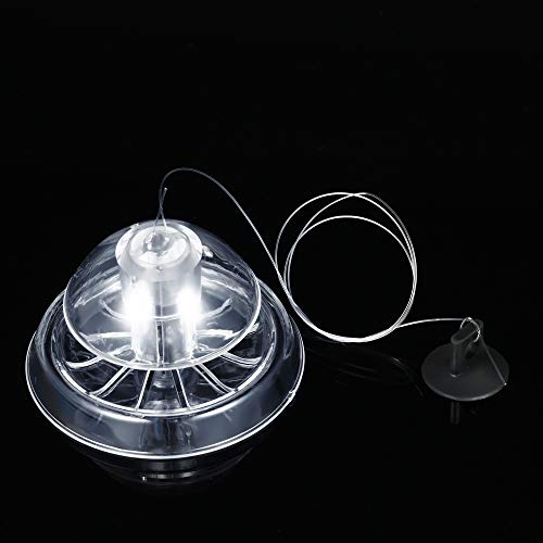 Funien Trampa de Caracol,Trampa de Caracol Transparente de plástico, Cebo Gratuito para Plantas de Acuario,Tanque de Peces,Ambiente de Captura de sanguijuelas planarias