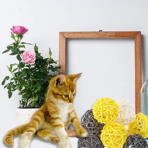 FuninCrea Pelota para Gatos de 5 Piezas,Pelota de Juguete para Gatos con Serpentinas y Campanas, Persecución Interactiva de Gatos y Entretenimiento Personal para Mantenerse Saludable