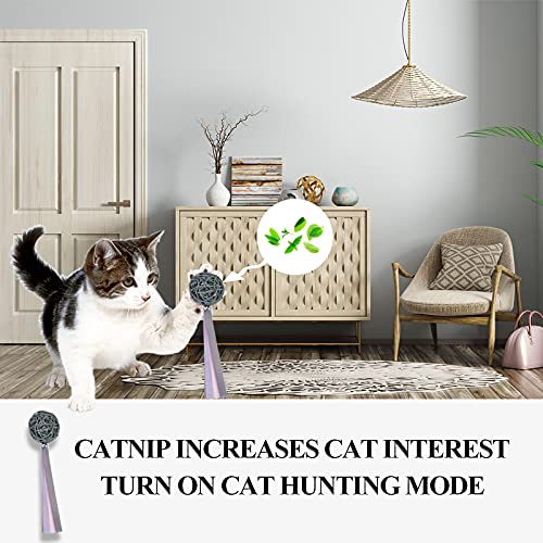 FuninCrea Pelota para Gatos de 5 Piezas,Pelota de Juguete para Gatos con Serpentinas y Campanas, Persecución Interactiva de Gatos y Entretenimiento Personal para Mantenerse Saludable