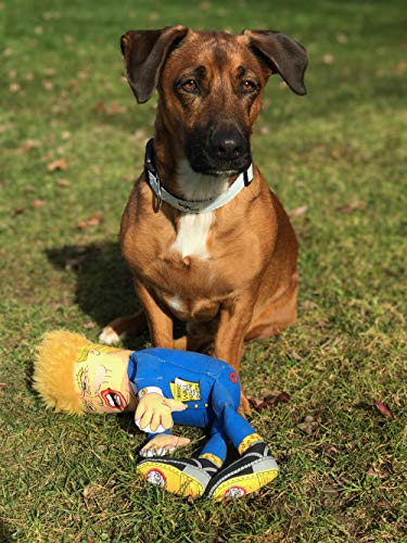 Fuzzu Juguete para Perros Donald, Grande