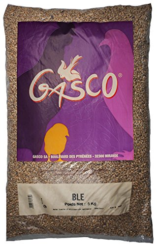 Gasco – trigo – 5 kg