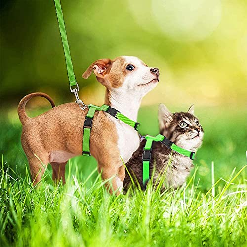 Gatito ArnéS Antiescape Ajustable Arnes Gato Antiescape Ajustable Respirante PequeñA Chaleco Gato Cuerda TraccióN para Gatos,Fuerte Resistencia A La TraccióN,CóModa Llevar,Resistente Y Duradera (A)