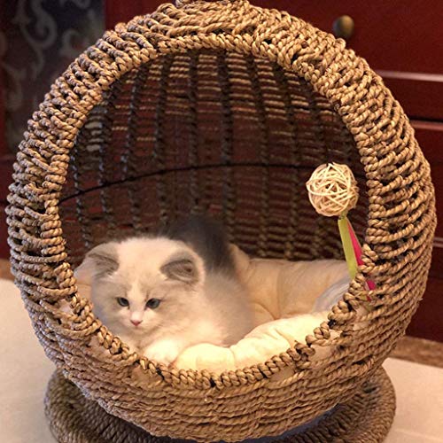 Gato Cama De La Casa Cesta Tejida Elevada Cojín De Cúpula Blanda Cesta, Gato Cama De Mimbre por Los Gatos Interiores, Verano Gato Hamaca del Acoplamiento De Cama, Colchón Lavable 60 * 46Cm,Marrón