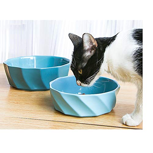 Gato Comedero Tazón de cerámica Perros Gatos Juego de Tazones Agua Alimentación Alimentación Distribuidores frasco Animales Pequeña Mediana Grande Tazón tamaños múltiples antideslizante Cuenco Comeder