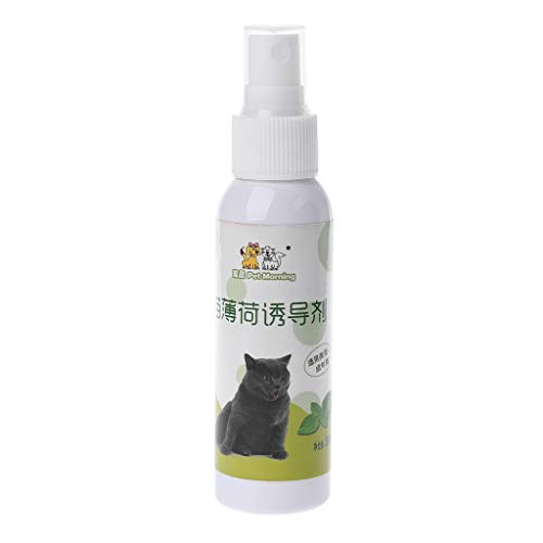 Gato hierba gatera juguete de entrenamiento para mascotas gato sano natural menta divertido rasguño juguete spray mascota gato juguetes