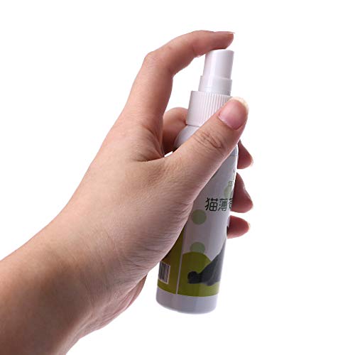 Gato hierba gatera juguete de entrenamiento para mascotas gato sano natural menta divertido rasguño juguete spray mascota gato juguetes