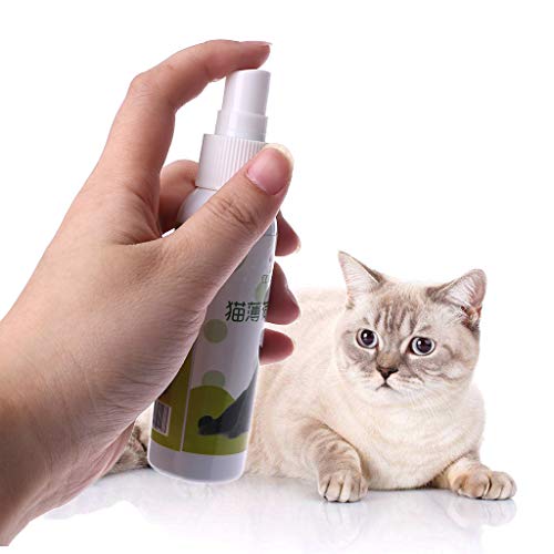 Gato hierba gatera juguete de entrenamiento para mascotas gato sano natural menta divertido rasguño juguete spray mascota gato juguetes