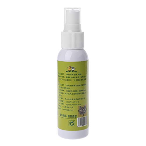 Gato hierba gatera juguete de entrenamiento para mascotas gato sano natural menta divertido rasguño juguete spray mascota gato juguetes