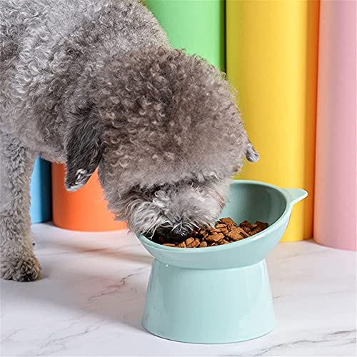 Gatos Dogs Bowl 45 Grados Tildado Alimentación Contenedor Antideslizante Base Mascota Alimentador de Agua Safeaguard Cuello Pet Port por Puppy GATTE Utensils (Color : C)