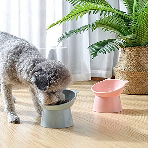 Gatos Dogs Bowl 45 Grados Tildado Alimentación Contenedor Antideslizante Base Mascota Alimentador de Agua Safeaguard Cuello Pet Port por Puppy GATTE Utensils (Color : C)