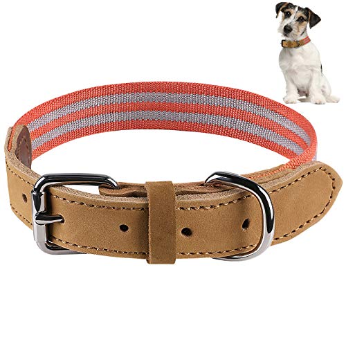 G.C Collar Cuero Perro Grande Pequeño Cachorro Reflectante Ancho Collar (Rojo, 50cm)