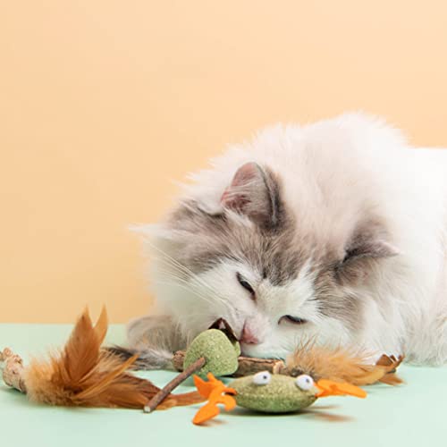 Generic 8 piezas de juguete para masticar para gatos, juguete natural para el mar, para cepillarse los dientes molar, herramientas de plata para gatos, regalo de canción, para interior, estilo mixto