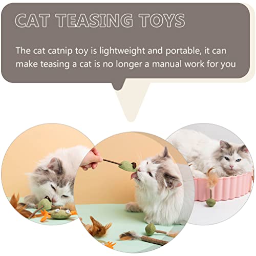 Generic 8 piezas de juguete para masticar para gatos, juguete natural para el mar, para cepillarse los dientes molar, herramientas de plata para gatos, regalo de canción, para interior, estilo mixto