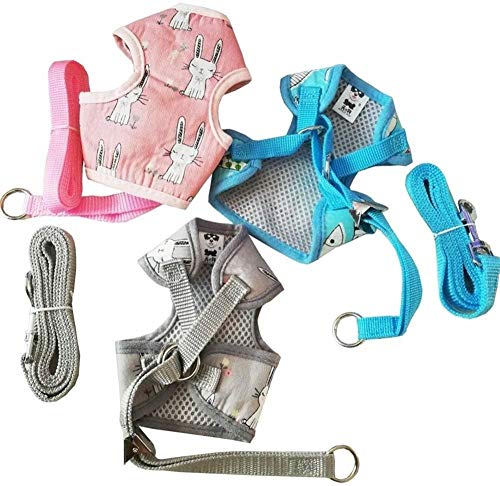 gengxinxin Ajustable con Cinturón De Arnés para Perro Chaleco Correa De Animal De Dibujos Animados Correa De Perro Mascota Malla Transpirable Gato Cachorro Correa para El Pecho S M L-l_Pescado Azul