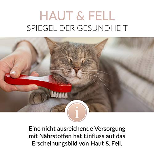 Gimborn Pasta para Gatos GIMCAT Derma para Piel y Pelaje Saludables - Tubo de 50 gr