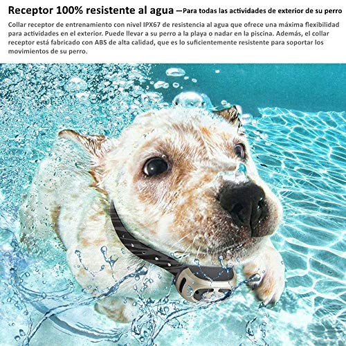 GLEADING Collar de Adiestramiento para Perros, Recargable y Resistencia al Agua de IP67, Mando a Distancia de Rango de 500 Metros con Modo de Vibración y Pitido de Alerta