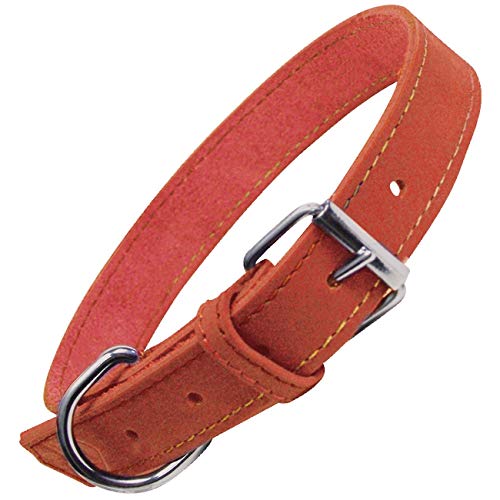GLORIA Collar Oasis 55cm x 25mm Negro